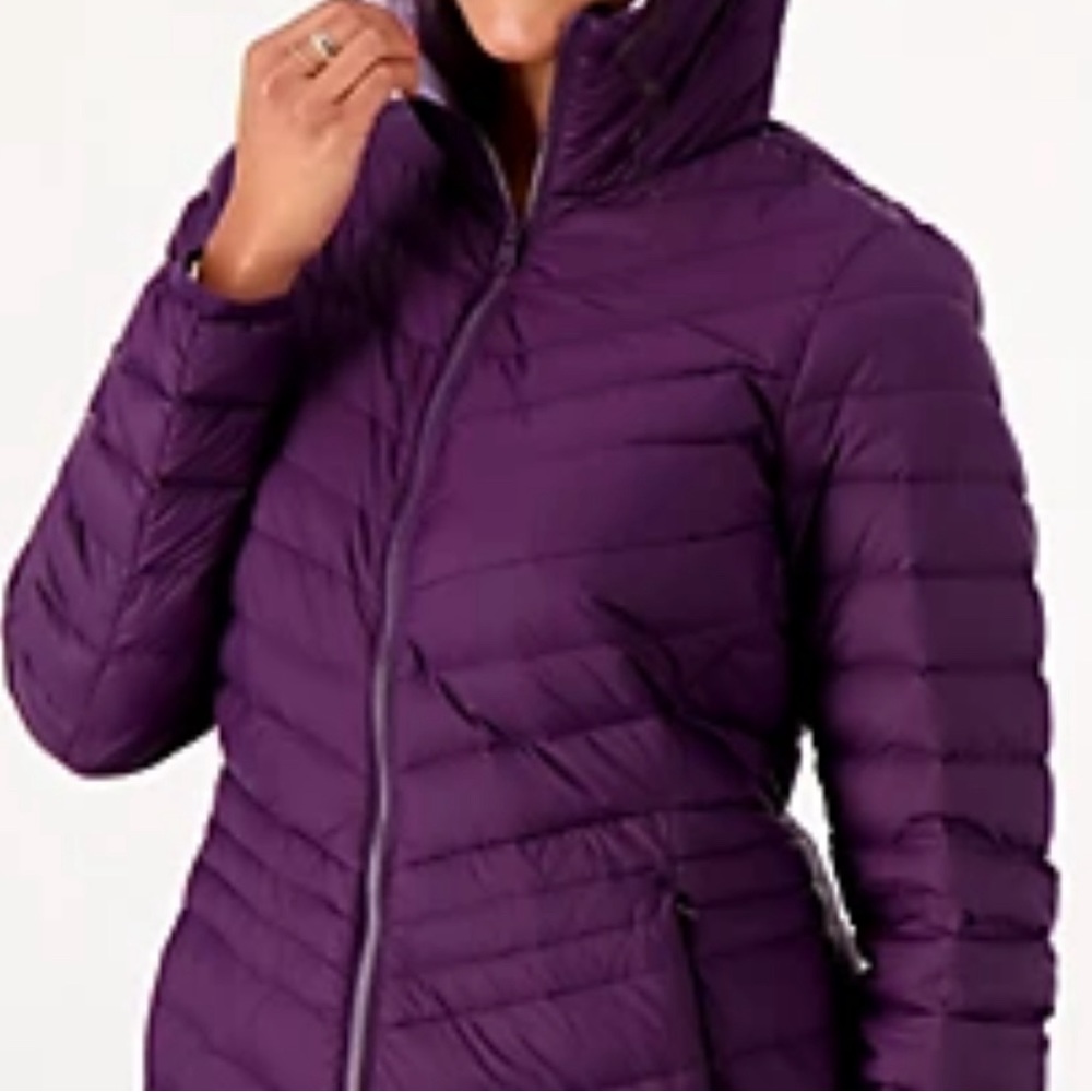 Lands’ End BlackBerry winter coat, size Large Tall (L/T), excellent condition.